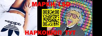 дмт Шелехов