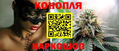дмт Шелехов