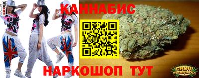 дмт Шелехов