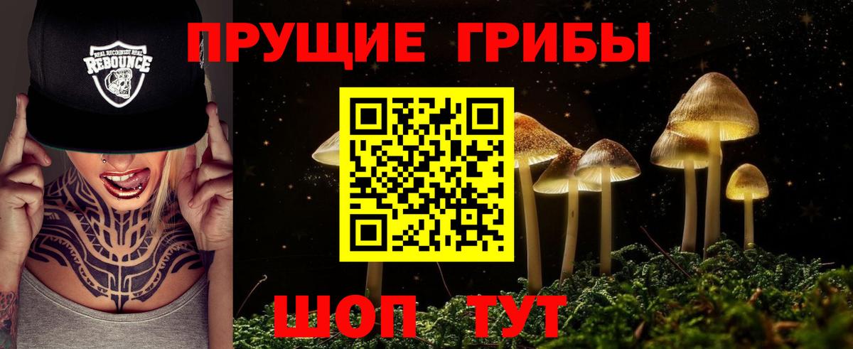 Галлюциногенные грибы Psilocybine cubensis  Вход с VPN  Стрежевой 